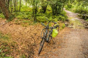 E-Bike Reisen entlang des Jakobweges - die Pedelecs im dichtem Wald