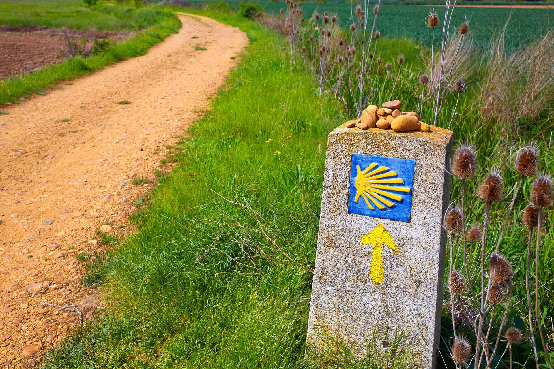 Jakobsweg mit dem Fahrrad grandiose EBike Reise online buchen